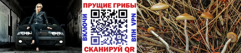 Галлюциногенные грибы Magic Shrooms  Демидов 