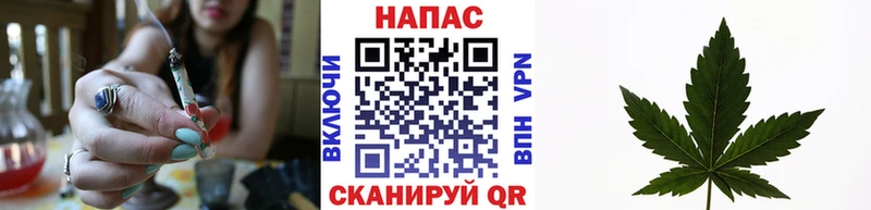 Марихуана планчик  купить наркоту  Демидов 